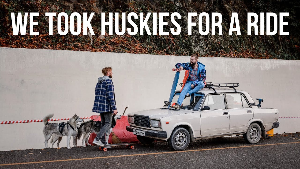 We Took huskies for a ride ● Мы взяли хаски напрокат