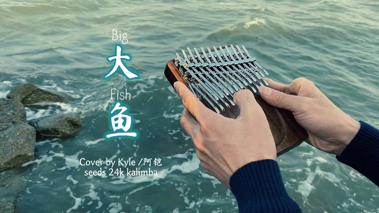 大鱼（Big Fish）, Cover by Kyle