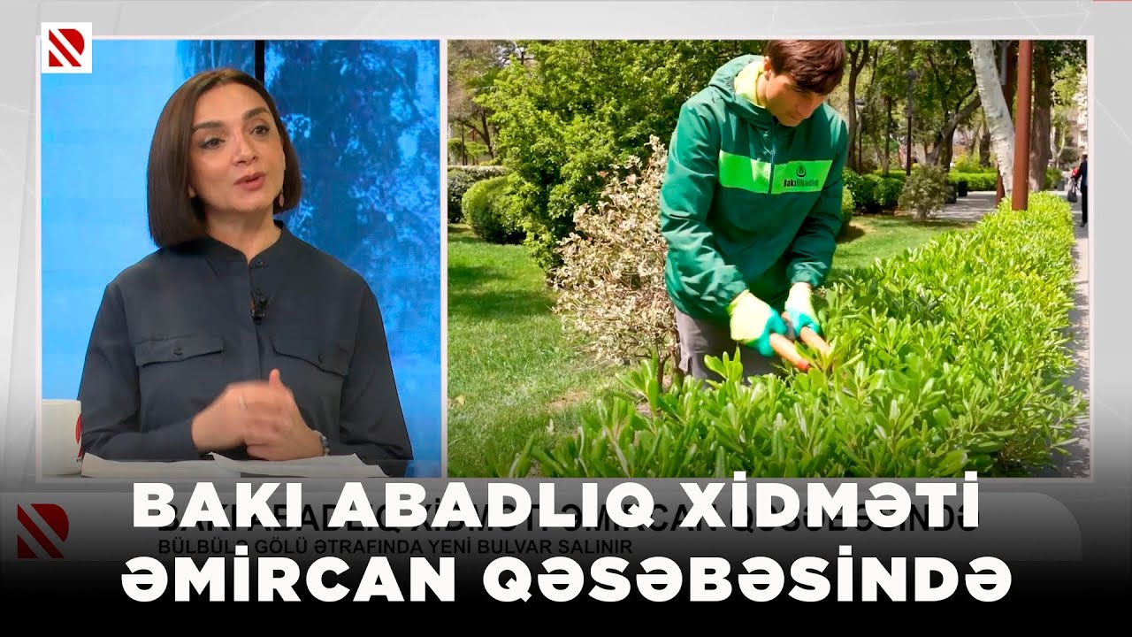 Bakı Abadlıq Xidməti Əmircan Qəsəbəsində