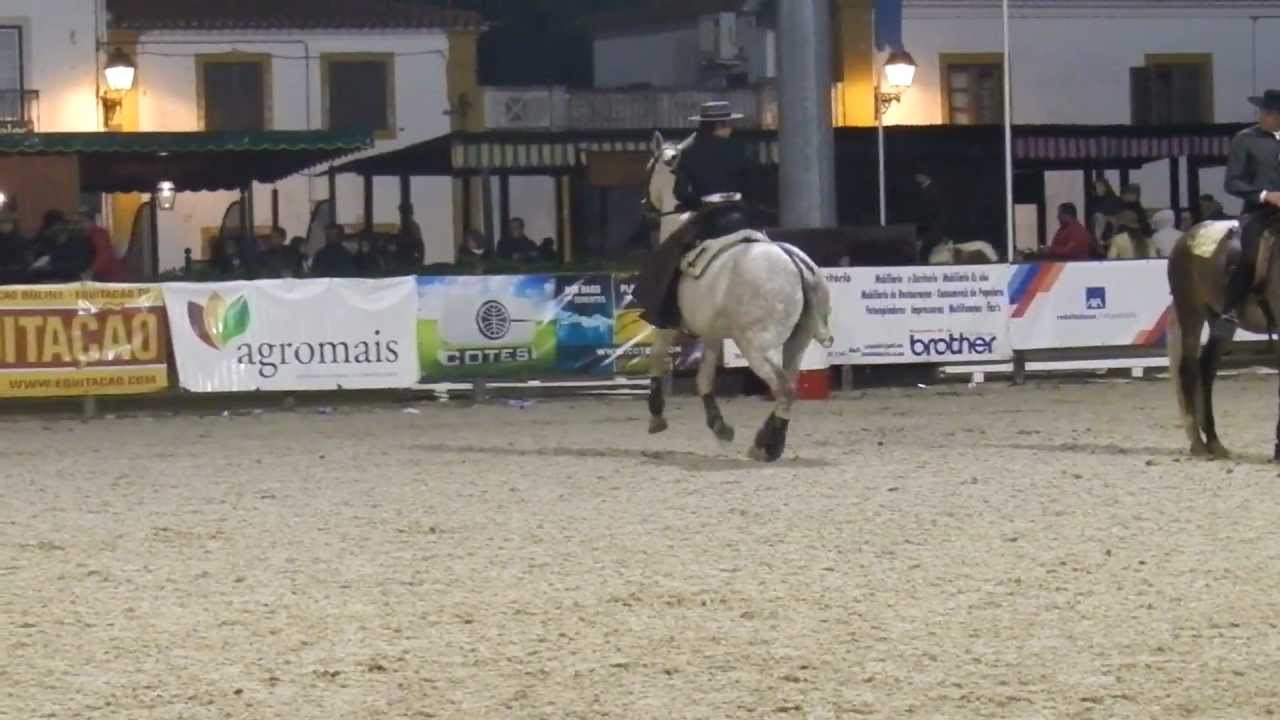 Z-XL com Jacobo Botero Nieto Golegã 2012