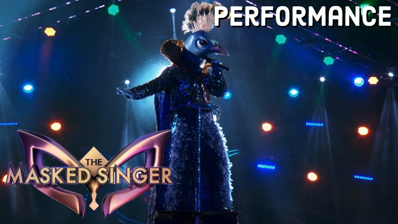 Peacock sings &ldquo;Counting Stars&rdquo; by OneRepublic | THE MASKED SINGER | SEASON 1