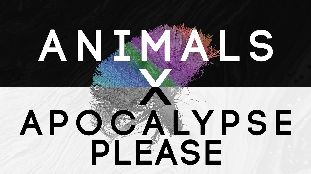 ANIMALS X APOCALYPSE PLEASE TRANSITION