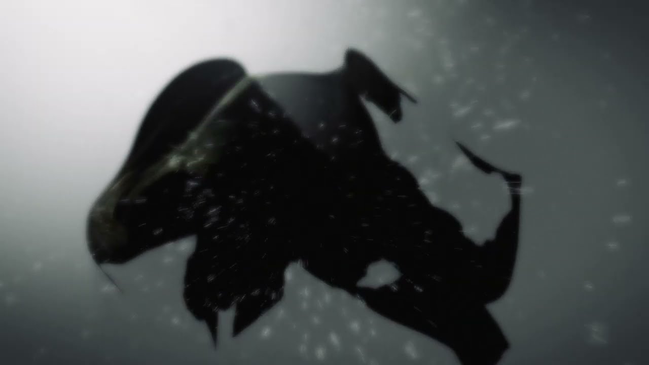 &Iacute;sb&iacute;lt&uacute;r - Visual from Luca Bonaccorsi