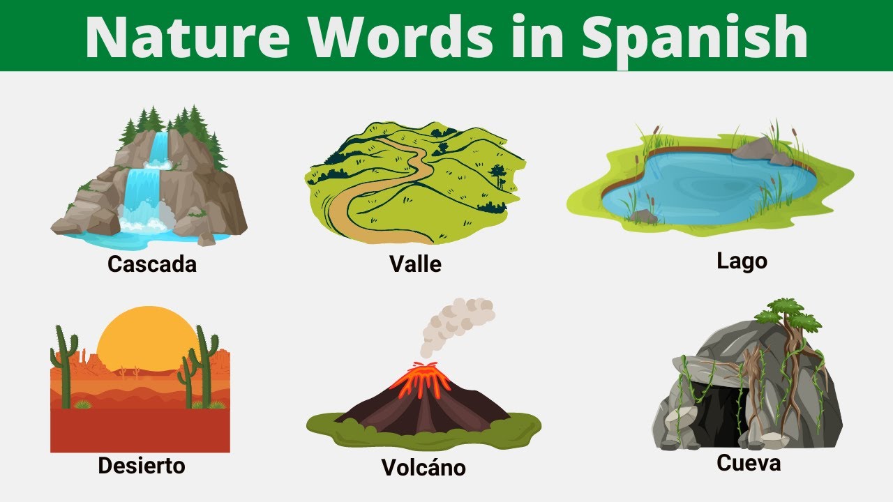 Nature vocabulary words in Spanish with pictures!