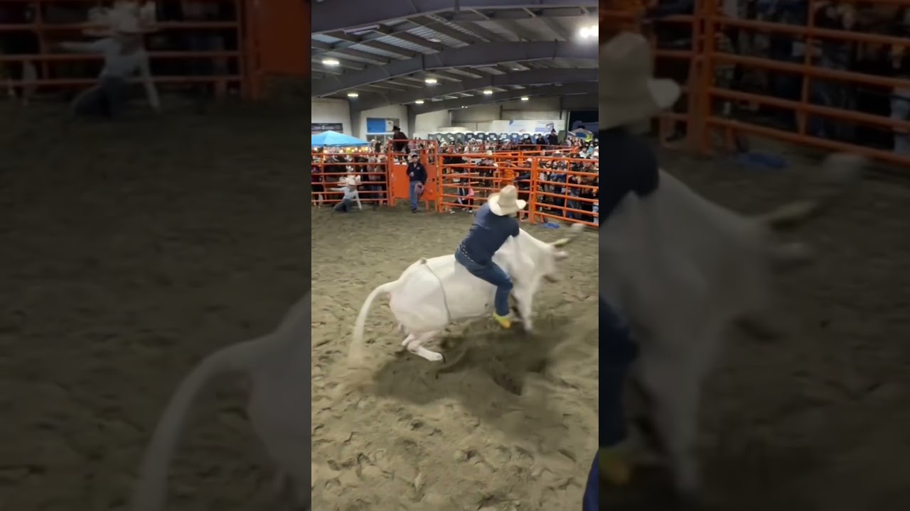 #jaripeo