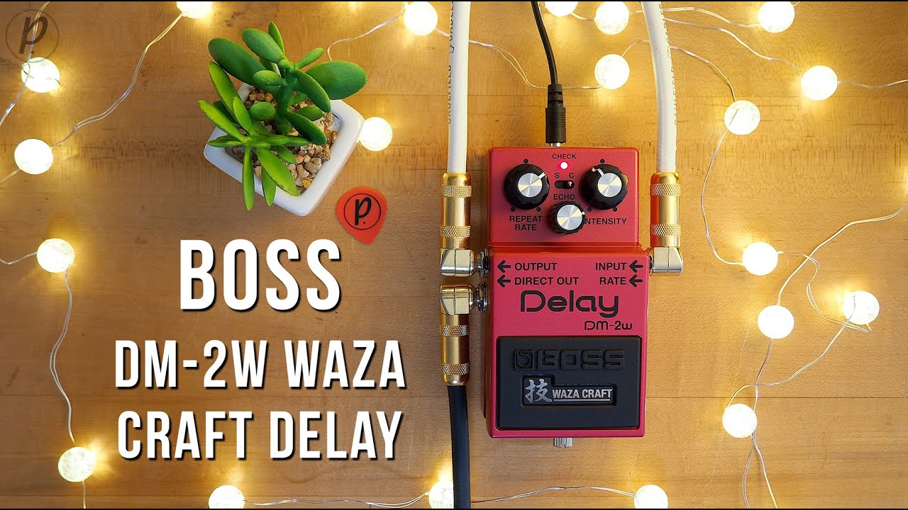 Boss // DM-2W Waza Craft Analog Delay (Stereo Demo)