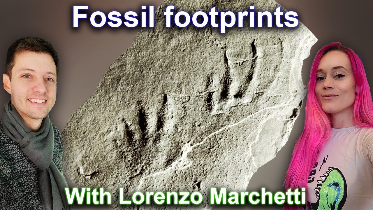 Fossil footprints and poop - what animals left when they were alive