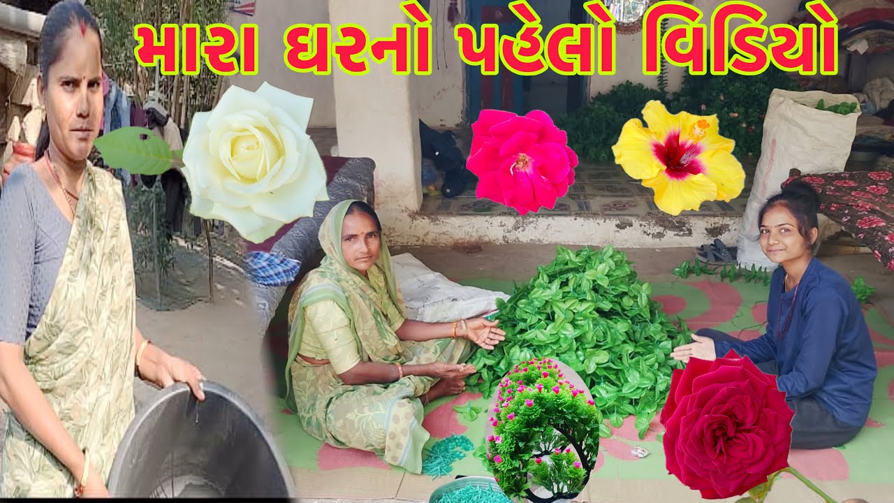 મારા ઘરનો પરિચય આપ્યો