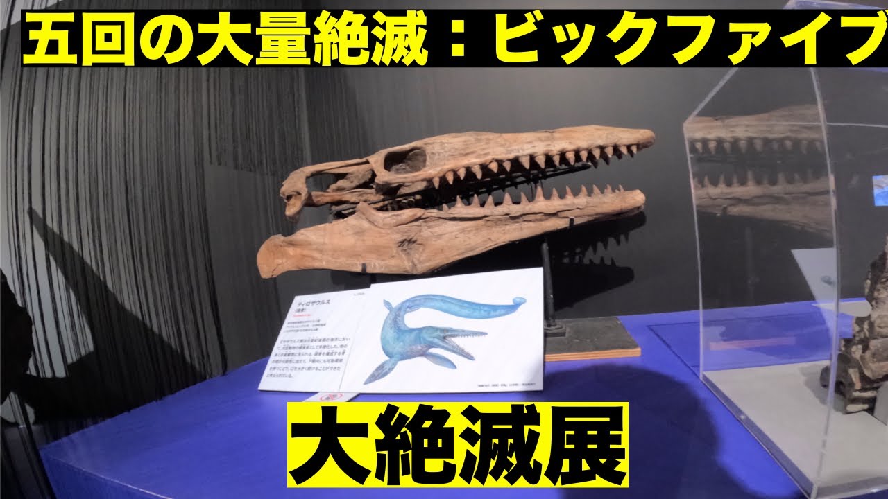 恐竜だけじゃない…地球で起きた5回の大絶滅｜上野・大絶滅展Vlog
