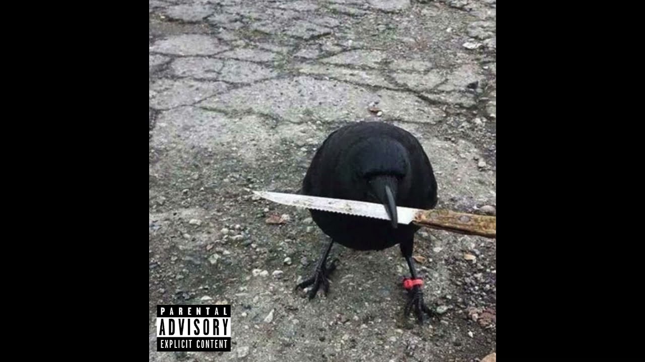 [FREE] guca owl Type Beat 