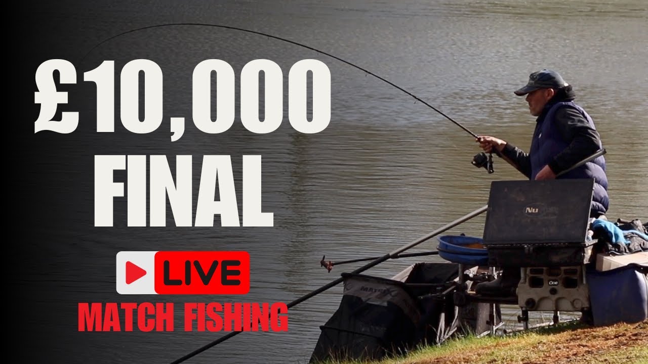 2024 GOLDEN ROD FEEDER FINAL