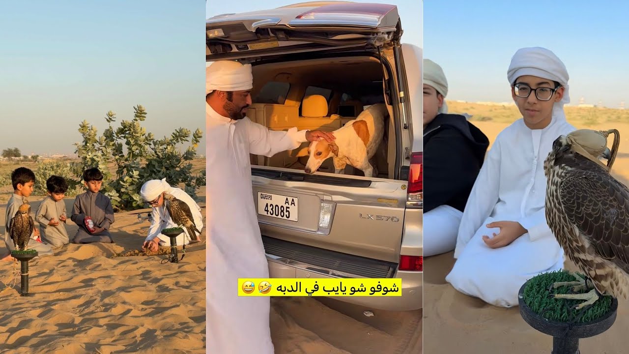سنابات علي الكتبي 🇦🇪 جدول الشباب 🔥 صقور سيف وسعيد 🦅 الطير صاد الحمامة 😍 هدية سعيد 😂🐕