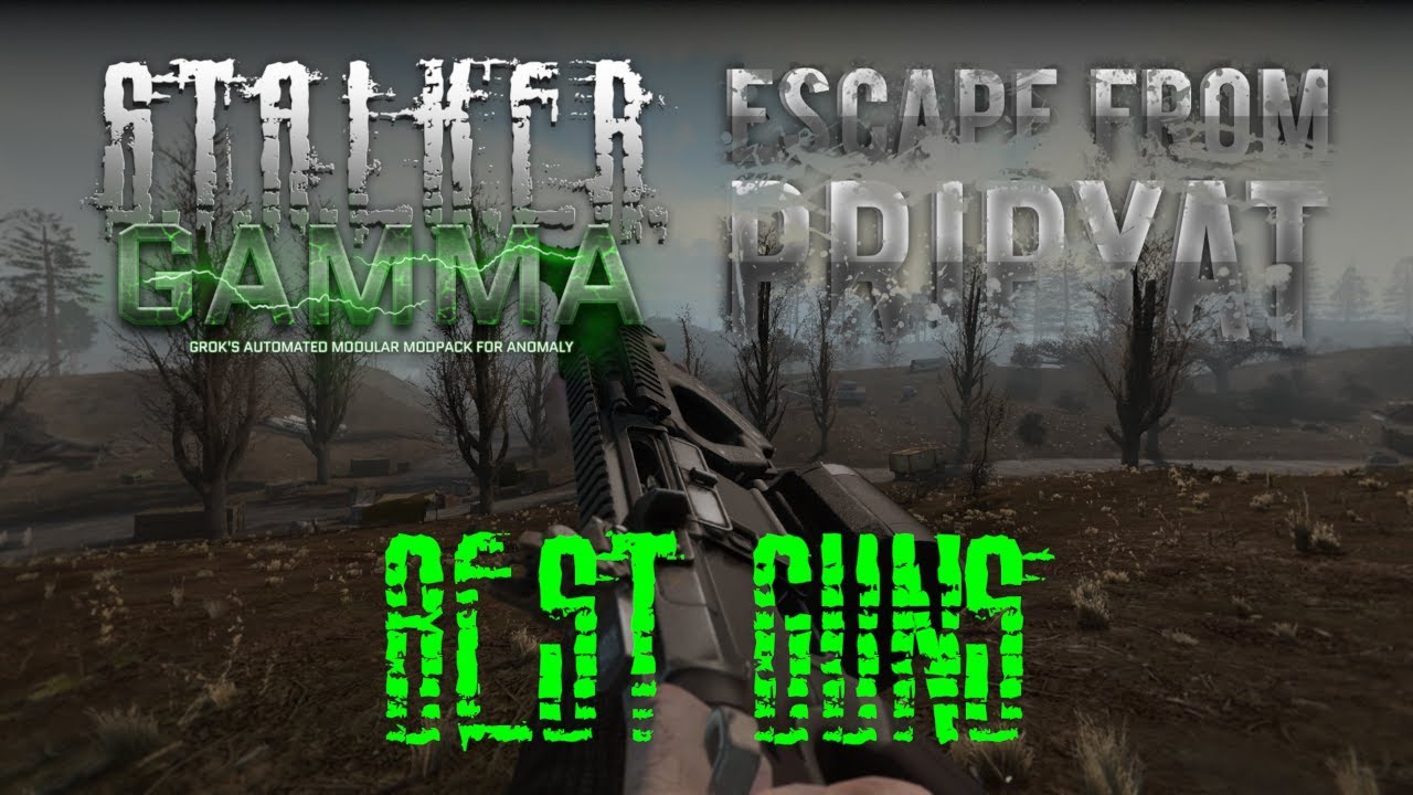 ЛУЧШЕЕ оружие в Stalker Anomaly, EFP, GAMMA