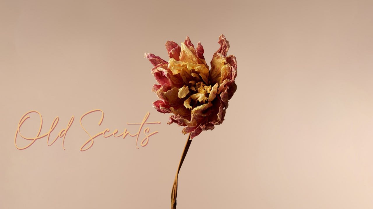 Light One - Old Scents