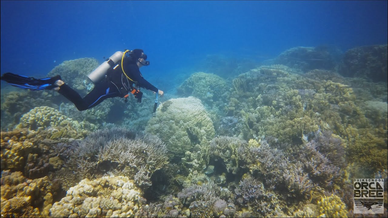 Hurghada 17-24 september 2024