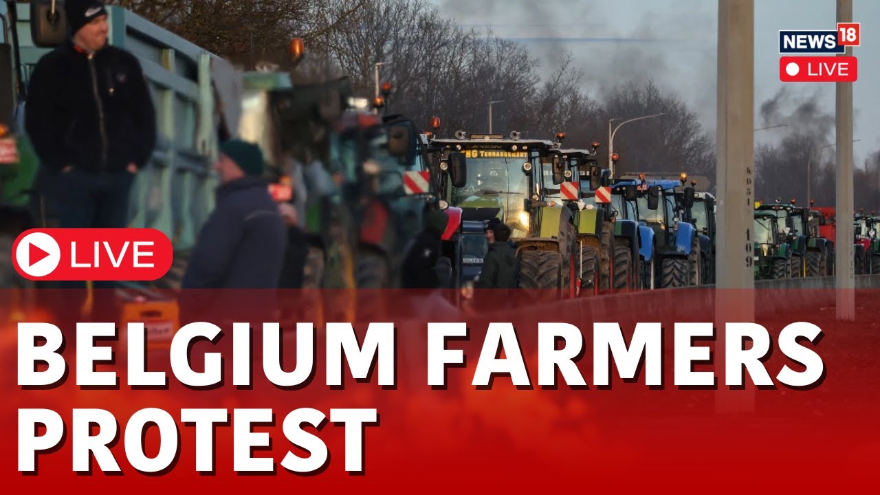 Belgian Farmers Protest Live | Violence During Farmers Protest in Belgium | Belgium News | N18L