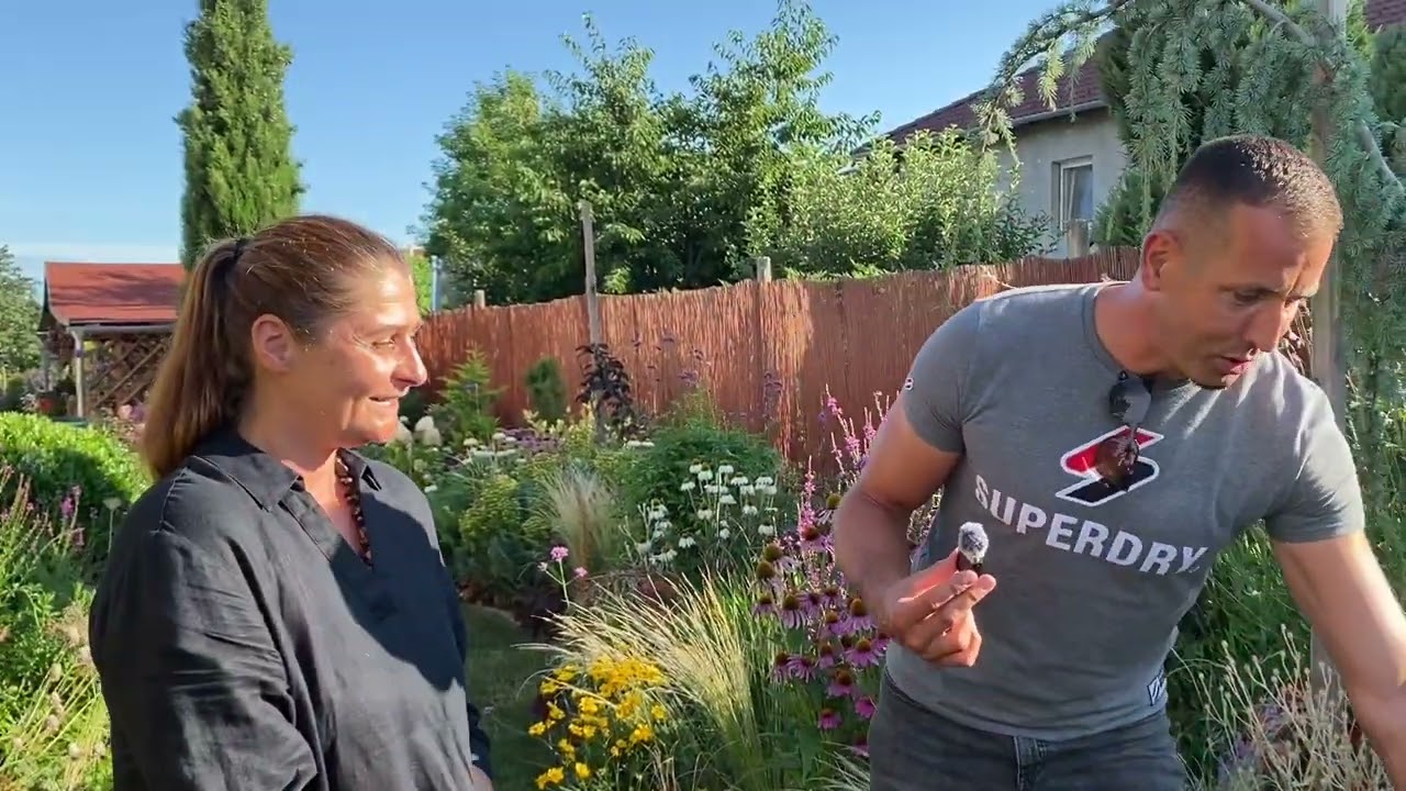 Rita mesekertje Sopronban