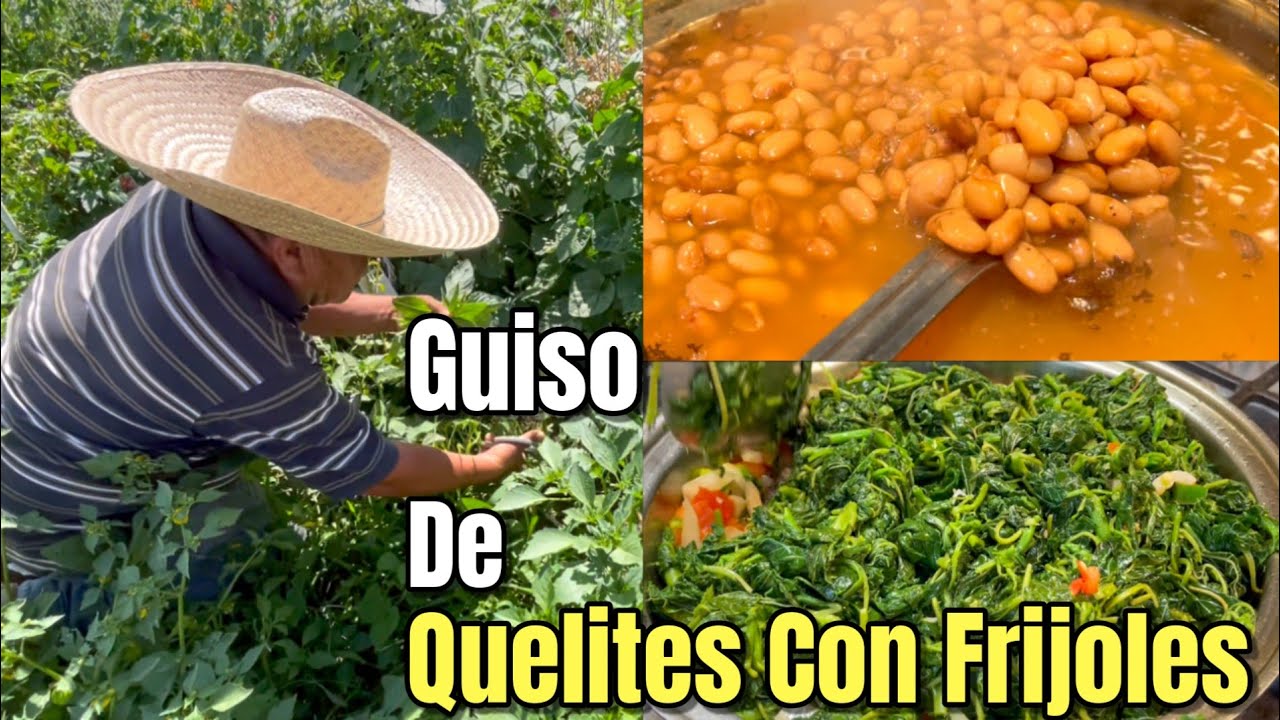 Guiso De Quelites Con Frijoles! Sabor Del Campo En Casa!