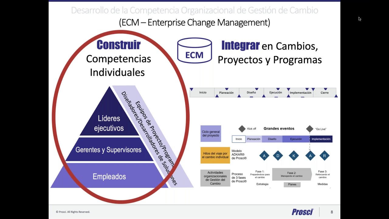 Desarrollo de la Competencia Organizacional de Gestión del Cambio