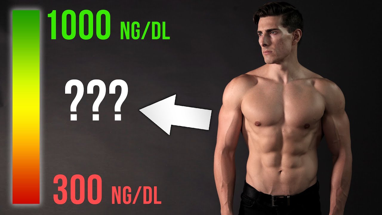 How Testosterone Affects Your Body | TESTOSTERONE 101 Part II