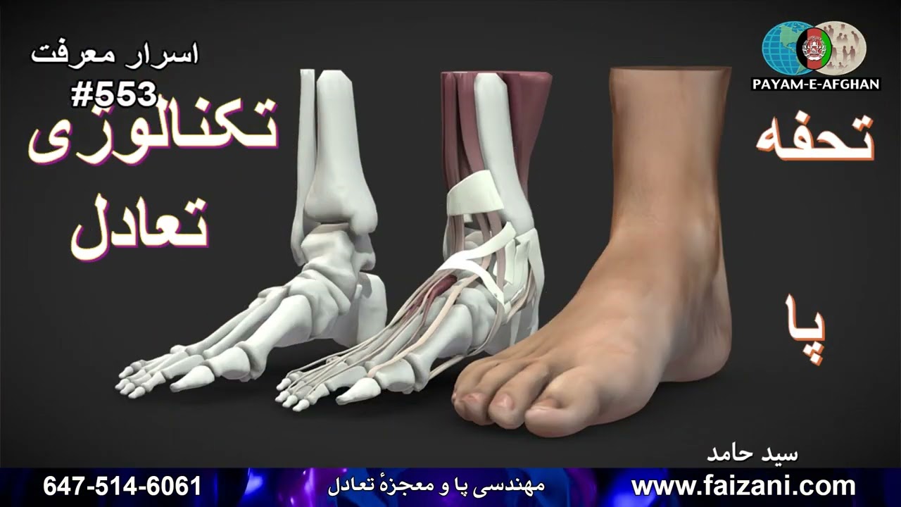 مهندسی پا و معجزۀ تعادل  بحش دوم || سید حامد || 553