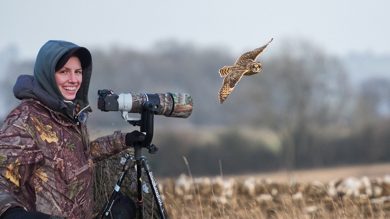 My first time photographing Short-Eared Owls!