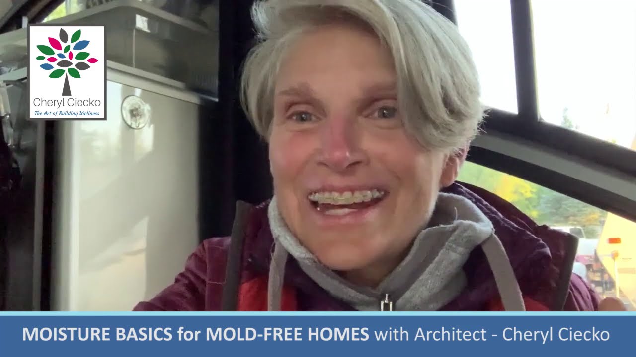 Talking Condensation, Mold & Moisture with Architect