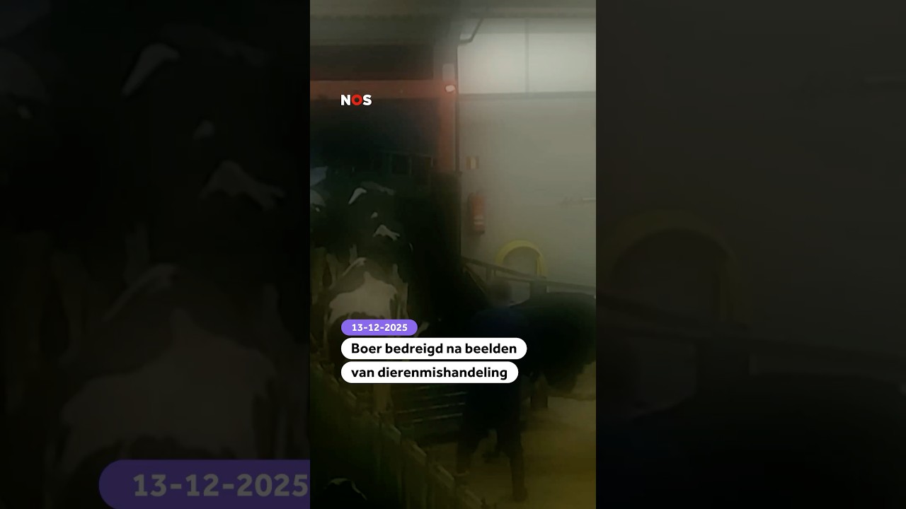 Boer bedreigd na beelden van dierenmishandeling