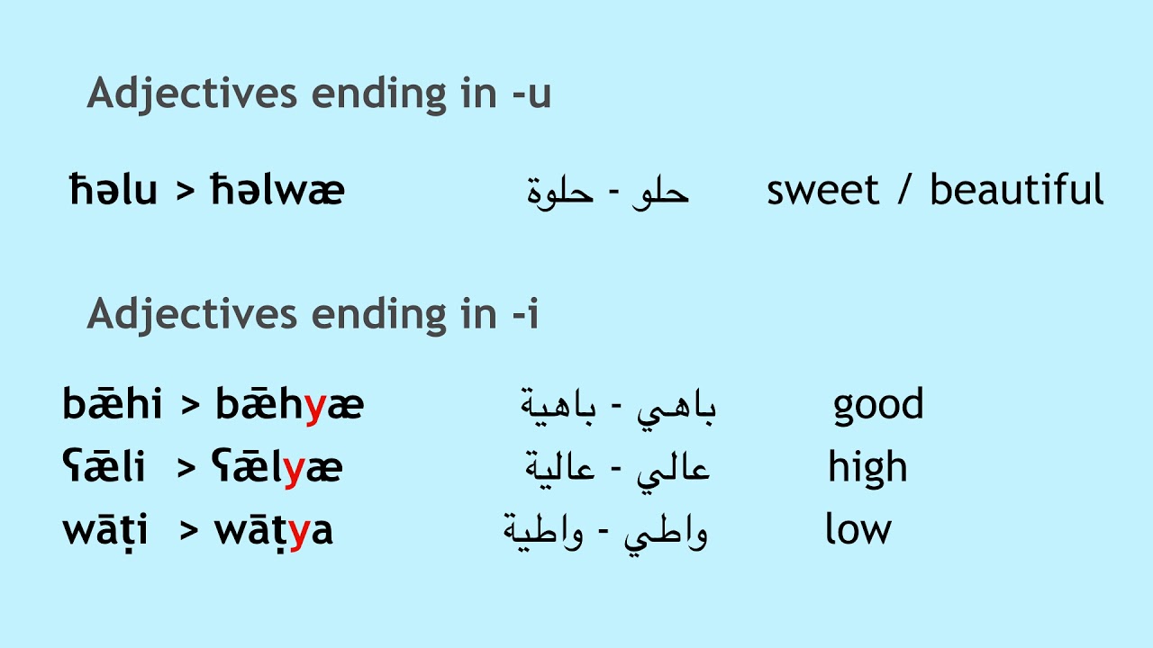 Libyan Arabic Adjectives I: the basics النعت