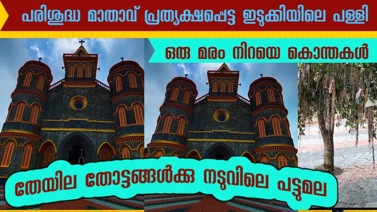 പരിശുദ്ധ ദൈവമാതാവ് പ്രത്യക്ഷപ്പെട്ട പള്ളി ഇതാണ് #pattumalachurch #churchidukki,