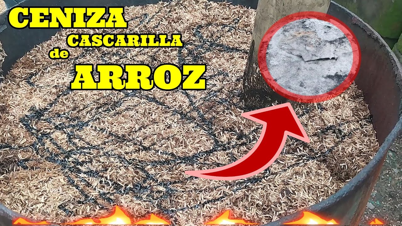 ✔️Como Hacer❓ CENIZA de CASCARILLA de ARROZ✌️ / @Jardin Teresita🏡❤️