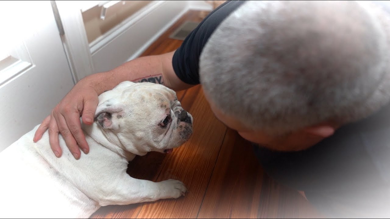 We Almost Lost Our Baby..