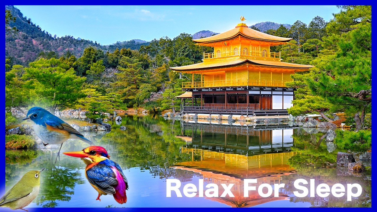 The Golden Pavilion in Kyoto / ASMR
