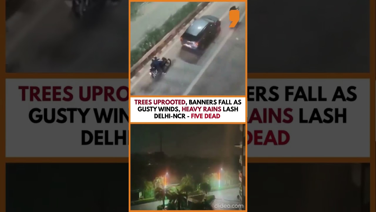 Deadly Dust Storm Hits Delhi-NCR: 5 Killed, Trees Uprooted & Power Outages |News9