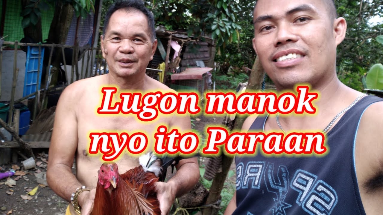 Paraan para mabilis tumubo balahibo ng lugon nyong panabong..