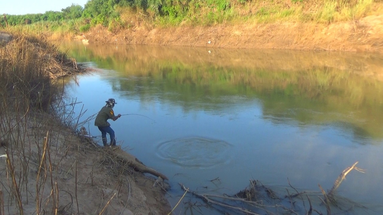 เอาแล้วครับ ได้ปลาใหญ่ แล้วห้าว | เมนู อาหาร แมว [ งัดวัง Fishing For Catfish ]