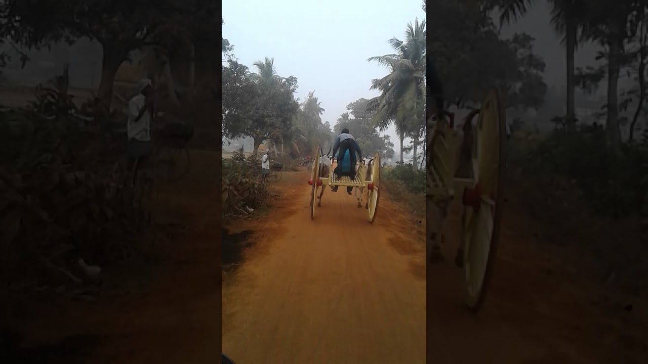 G medapadu(4)
