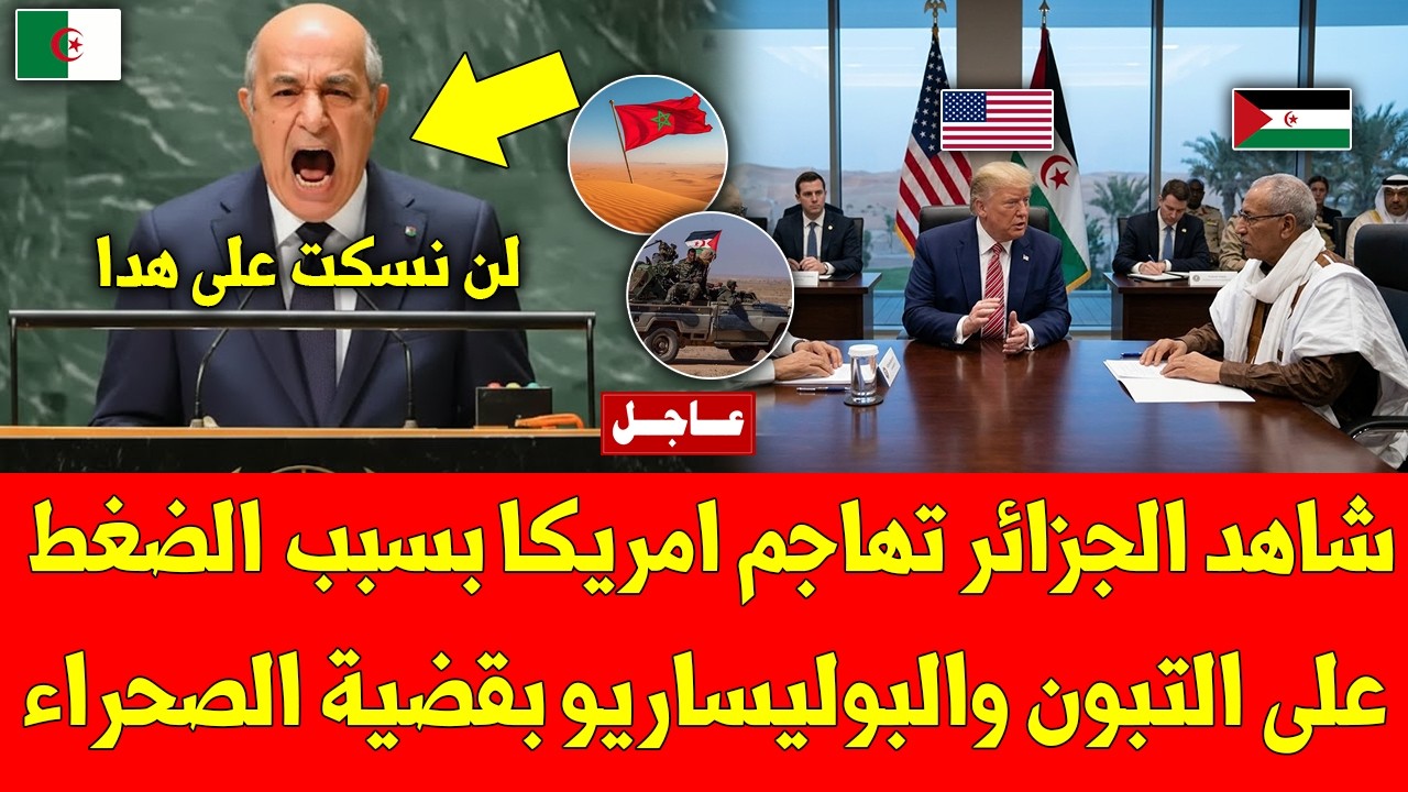 غير متوقع شاهد الجزائر تهاجم امريكا بسبب الضغط على التبون والبوليساريو بقضية الصحراء المغربية