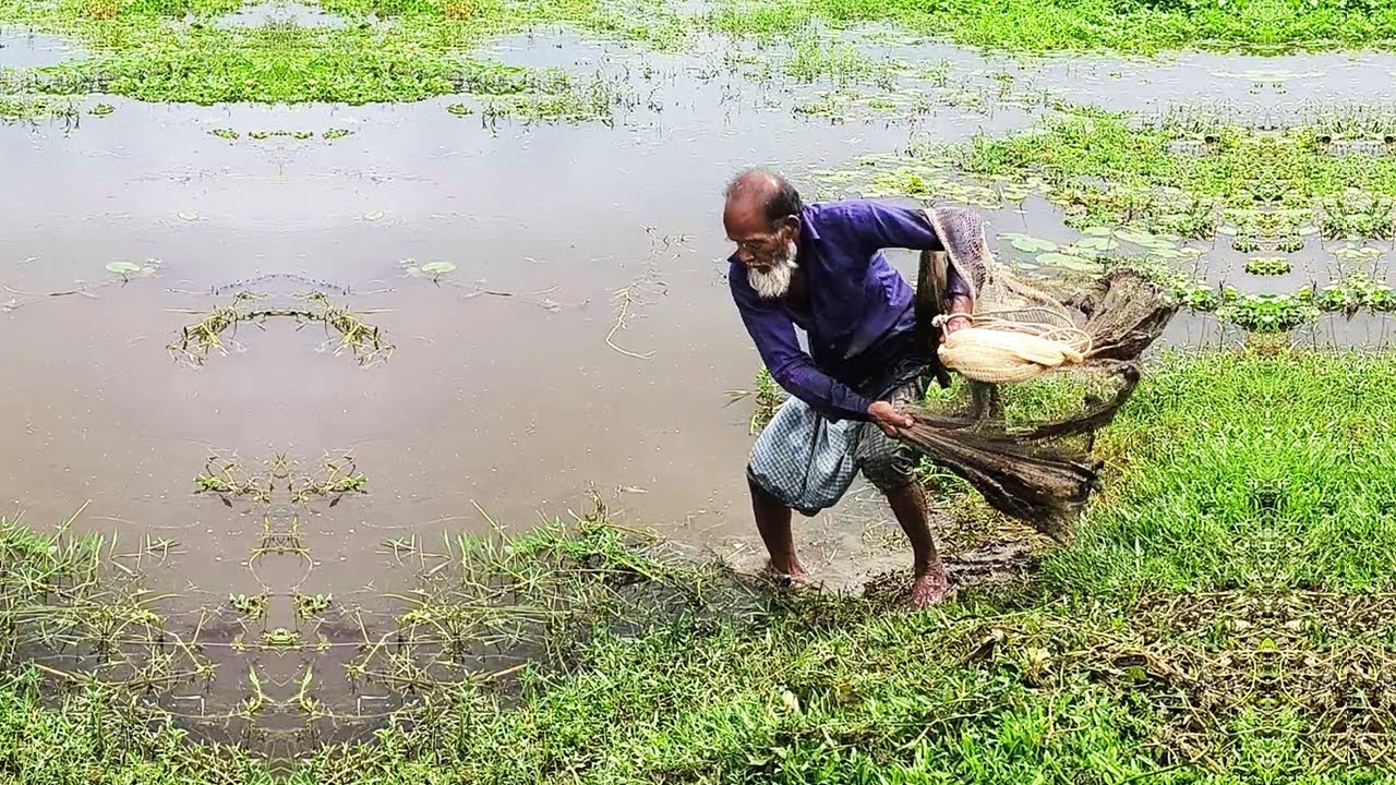 Amazing Net Fishing Technique - Big Fish Catch in Rural Pond - Village Fishing Video