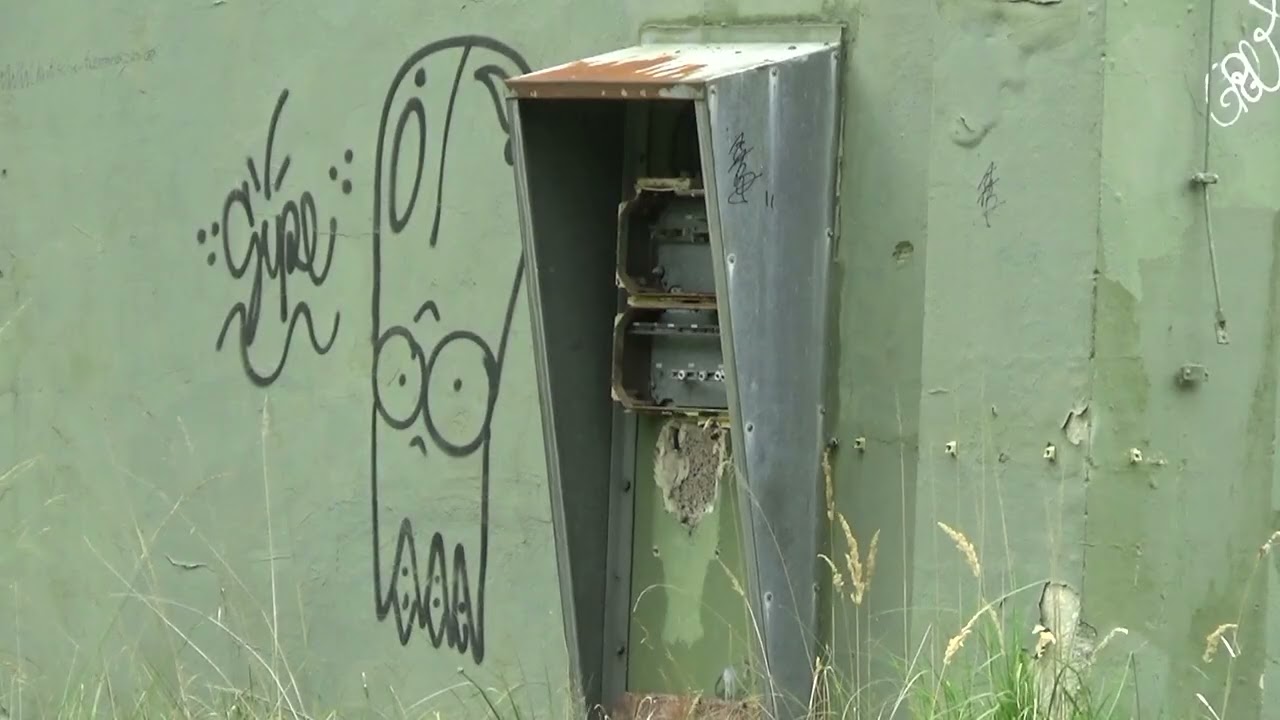 Brachter Wald Hollandse Beelden