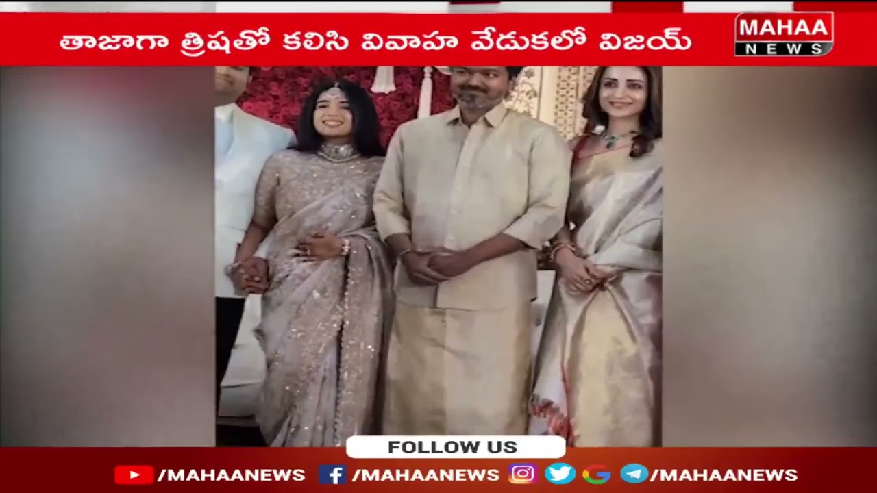 రిసెప్షన్ వేడుకలో విజయ్-త్రిష జోడీ.. Thalapathy Vijay & Trisha Together at Wedding | Mahaa News