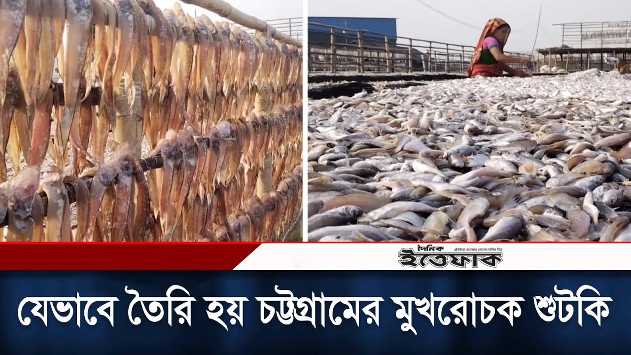 যেভাবে তৈরি হয় চট্টগ্রামের মুখরোচক শুটকি | Dry Fish | Chattogram | Daily Ittefaq