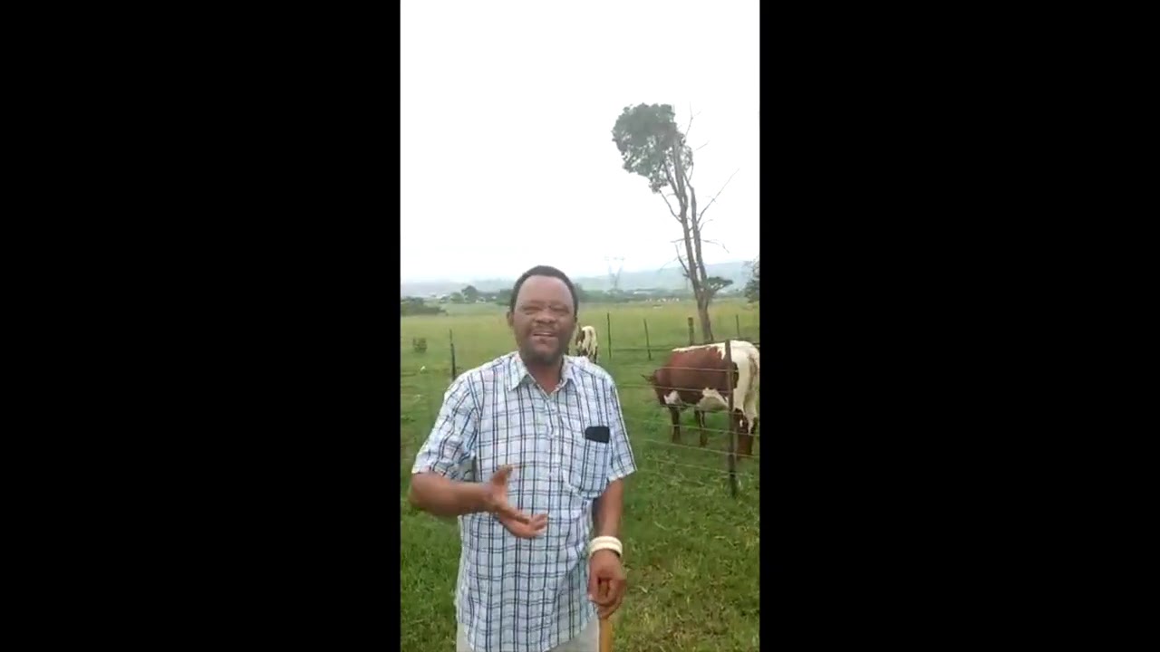 Unyaka ka 2020