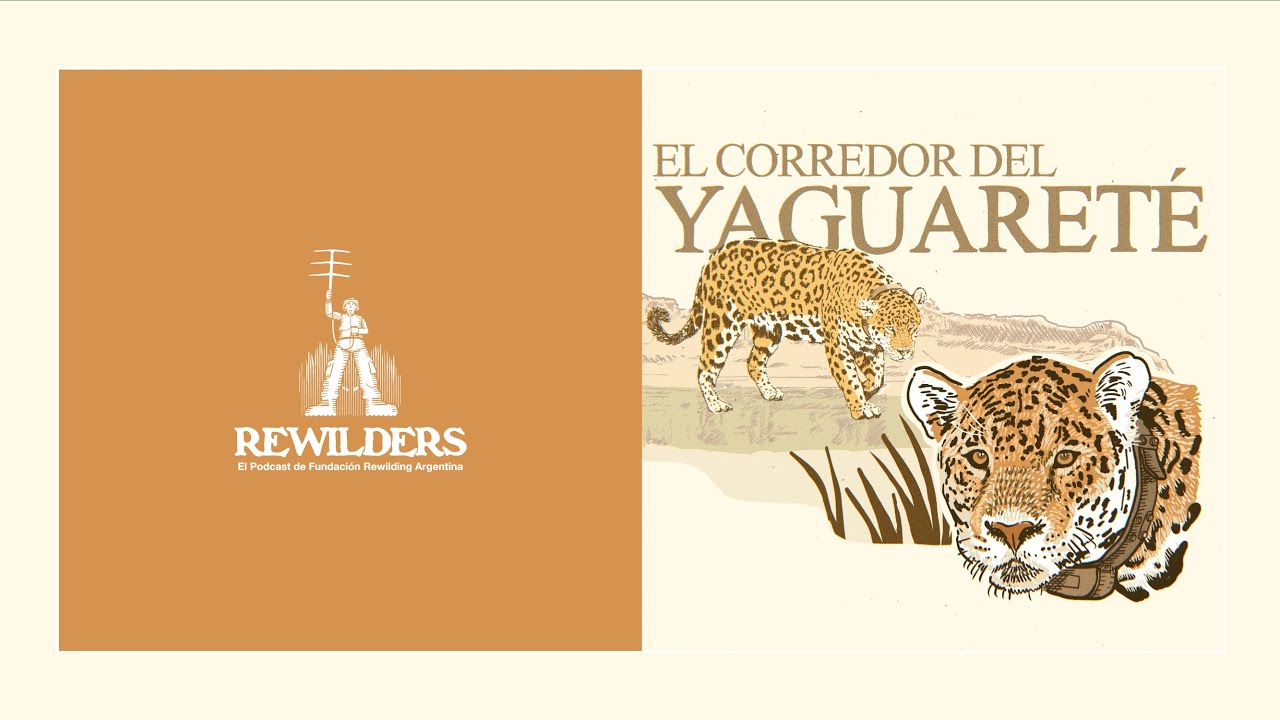 REWILDERS | Ep. 02 · El corredor del yaguareté