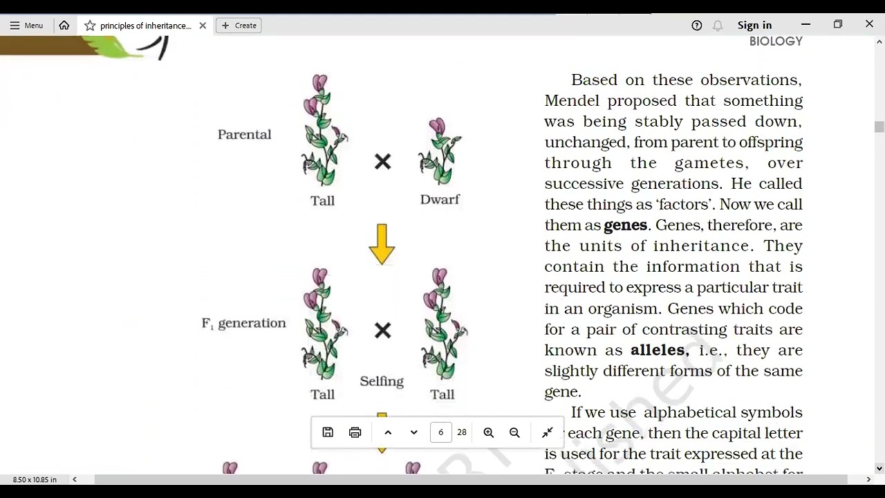 Genetics Part 3 (Malayalam) #neetmalayalam #ncertlinetoline #neetbiology #neet #neetbiologylectures