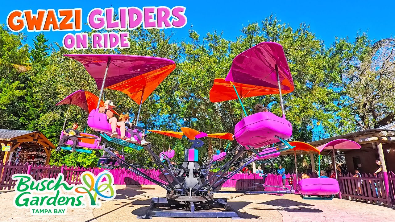 Ride Gwazi Gliders at Busch Gardens Tampa Bay (Jan 2026) [4K]