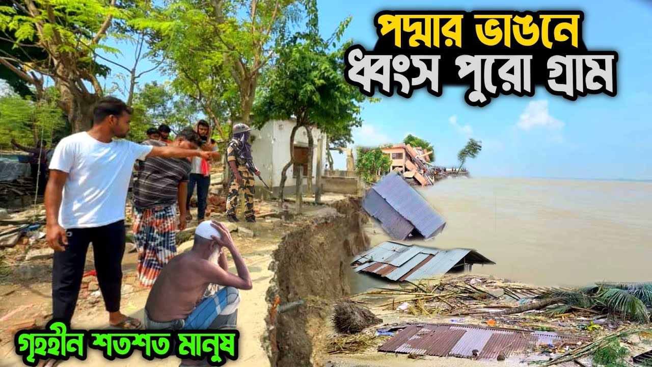 মুর্শিদাবাদে পদ্মার ভাঙনে  বিপর্যস্ত পুরো গ্রাম | Padma river erosion in Murshidabad | #villagelife 