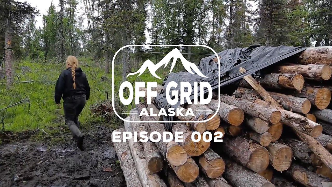 THE HARSH REALITY | Off Grid Alaska 002