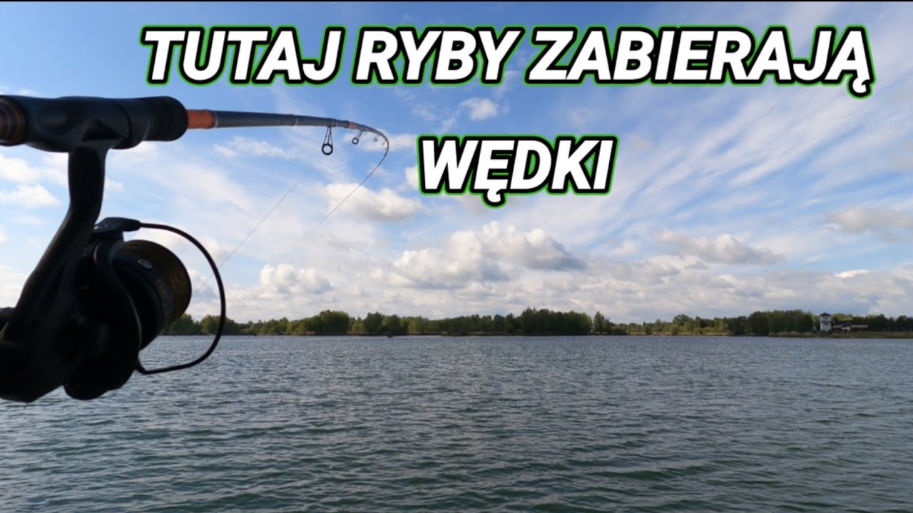 TUTAJ RYBY ZABIERAJĄ WĘDKI I TAŃCZĄ NA OGONACH