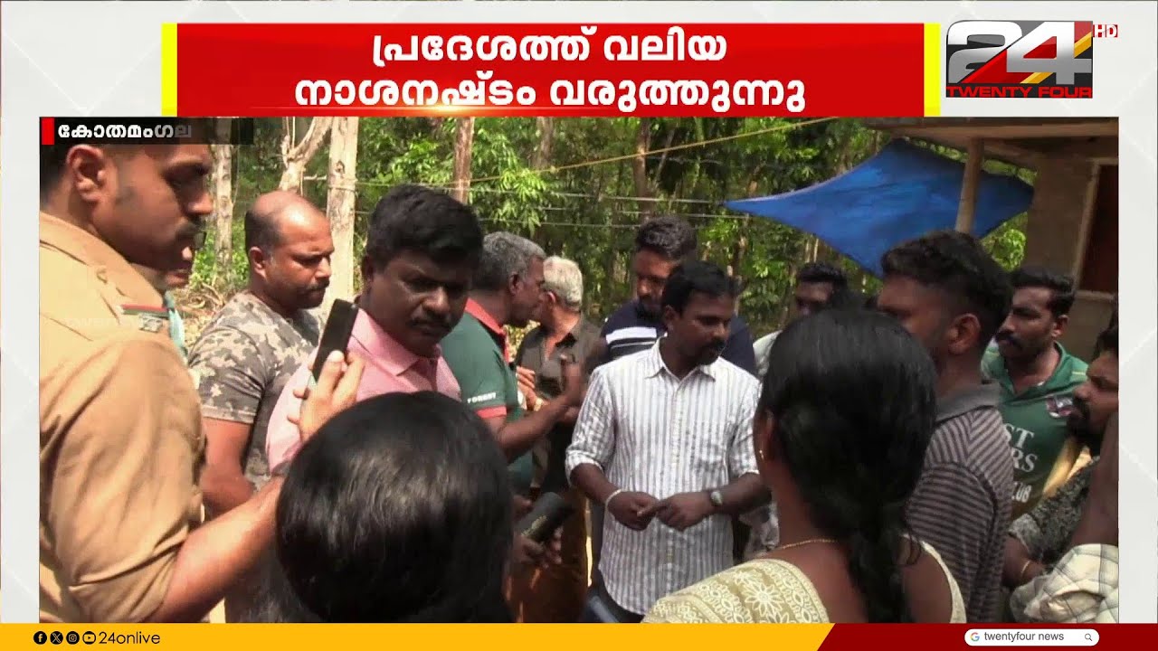 കോതമംഗലത്ത് കോട്ടപ്പടിയിൽ ആളുകൾ ആനപ്പേടിയിൽ, കാട്ടാനയെ പിടികൂടി കാട്ടിൽ വിടണമെന്ന് ആവശ്യം